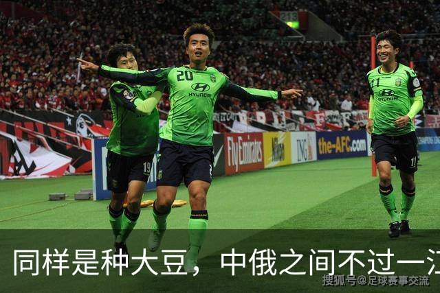 同样是种大豆，中俄之间不过一江之隔，为何产量却差近一倍？