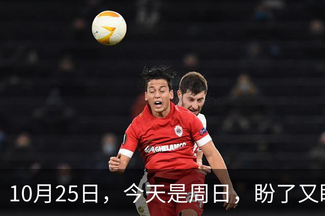 10月25日，今天是周日，盼了又盼的2026年养老金调整通知，终归到如今还是没有如人所愿